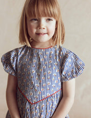 V-waist Woven Dress-Bluejay Cherry Stripe / Boden Online