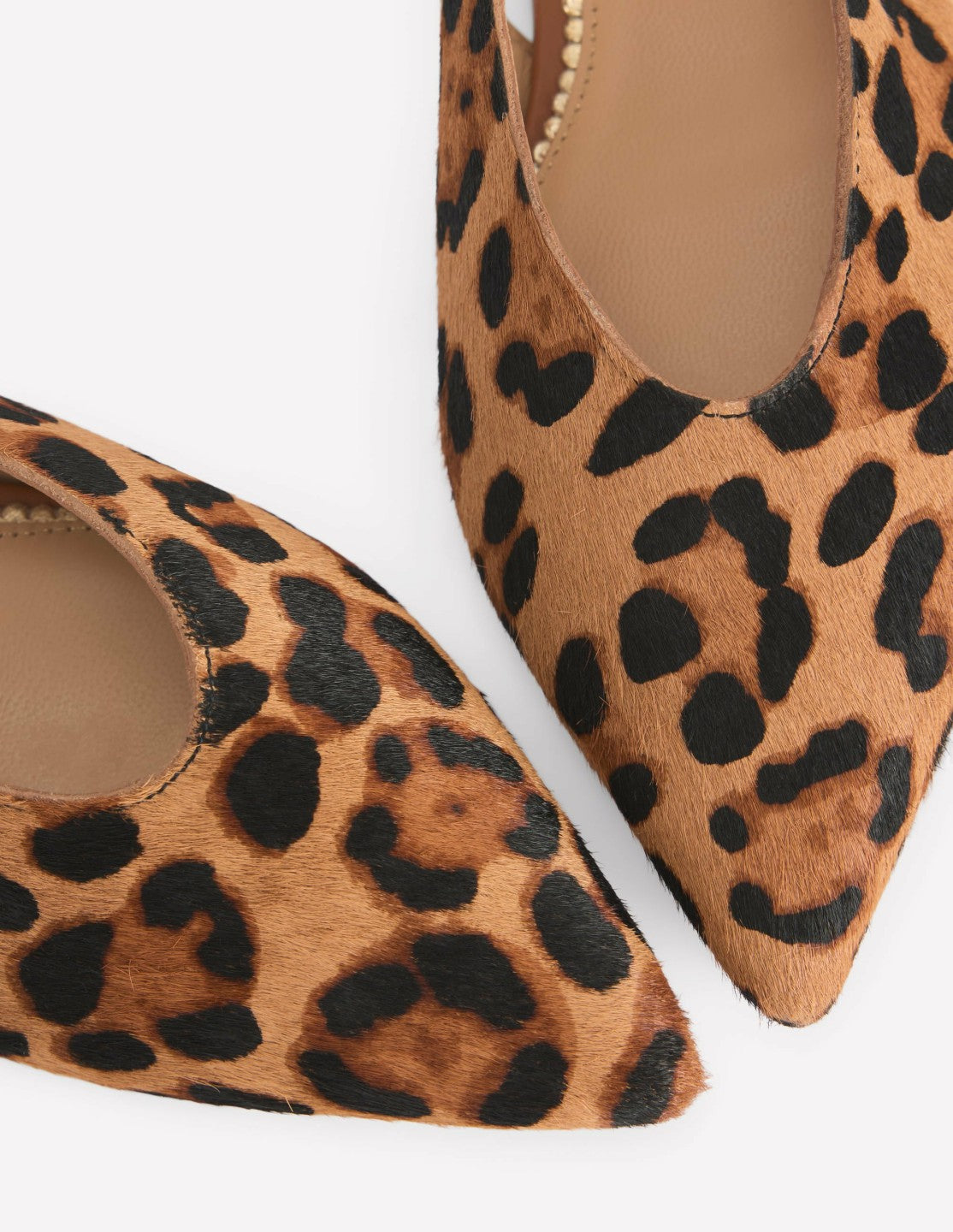 High Cut Flat Point-Classic Leopard / Boden us