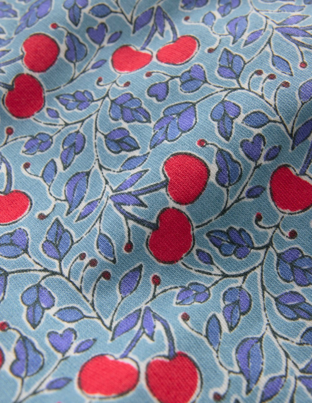 Printed Sweatshirt-Blue Cherries / Boden Online