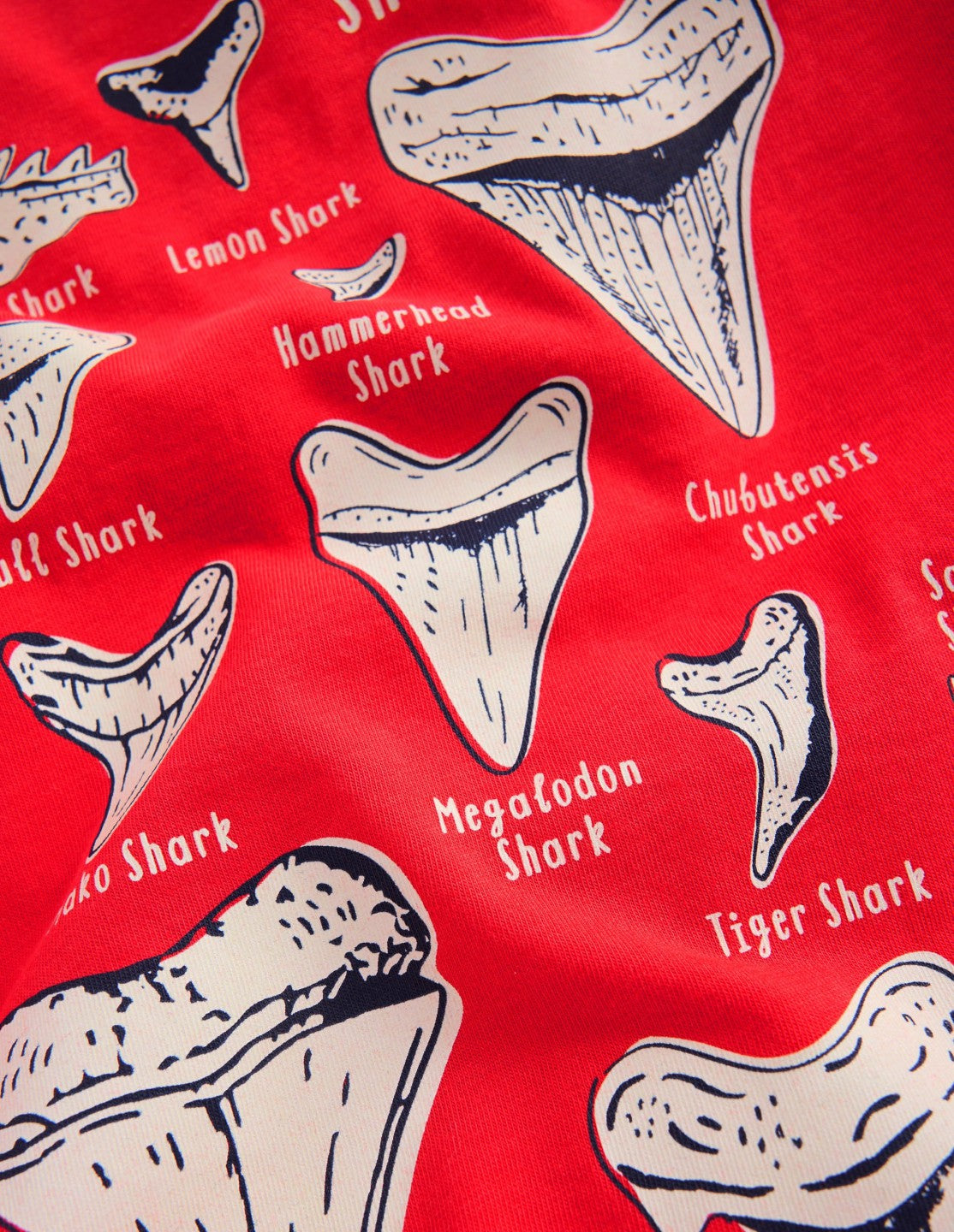 Glow-In-The-Dark T-shirt-Hot Coral Sharks Teeth / Boden