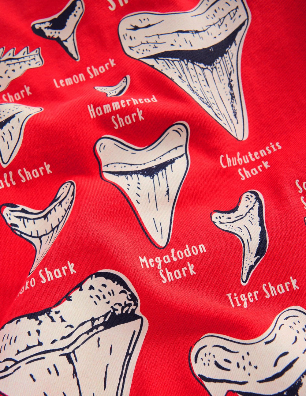 Glow-In-The-Dark T-shirt-Hot Coral Sharks Teeth / Boden