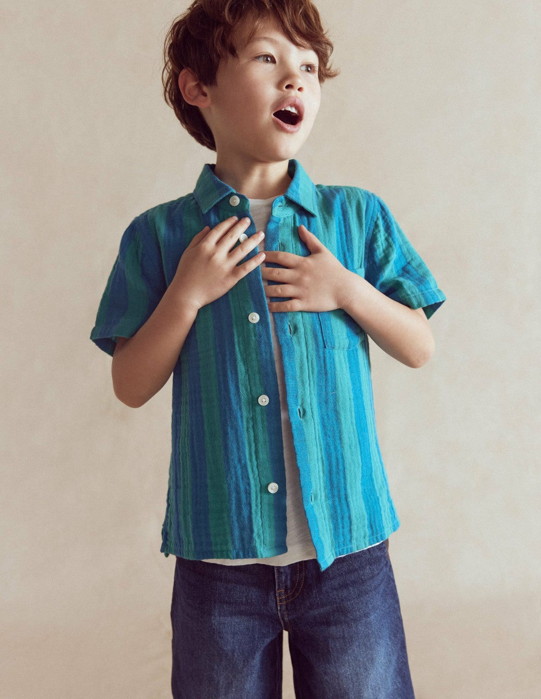 Double Cloth Shirt-Green and Blue Stripe / Boden Online