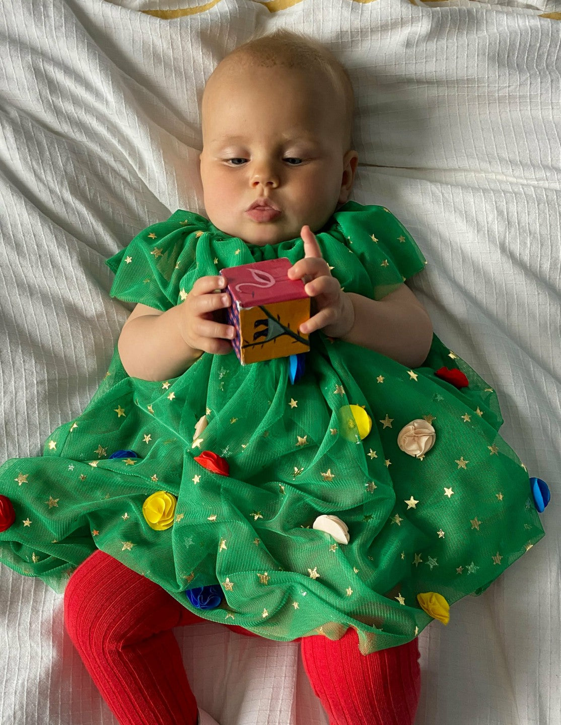 Layered Tulle Dress-Green Christmas Tree / Boden Outlet