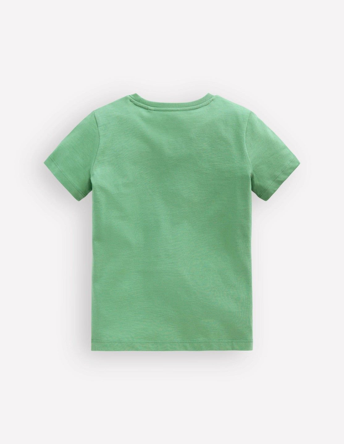 Short Sleeve Graphic T-shirt-Csarite Green Camelion / Boden