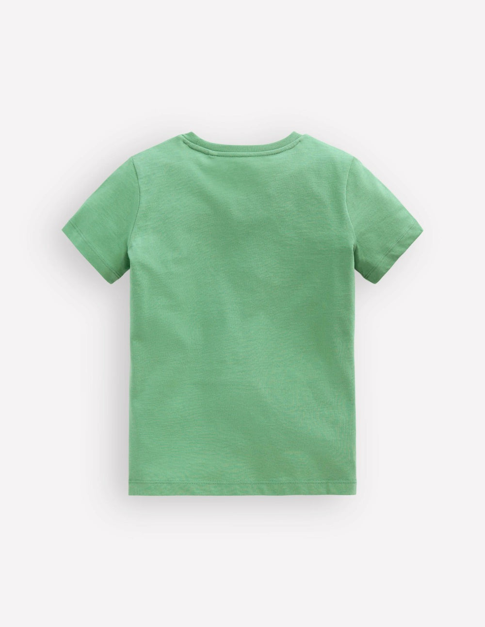 Short Sleeve Graphic T-shirt-Csarite Green Camelion / Boden