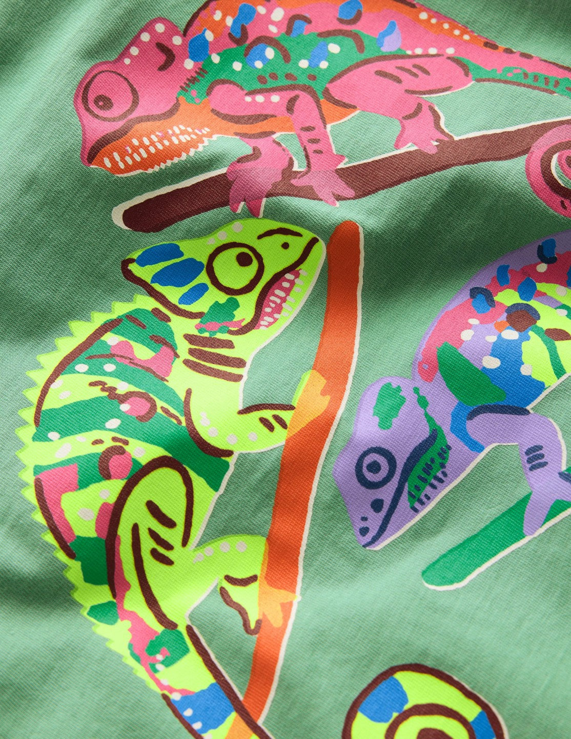 Short Sleeve Graphic T-shirt-Csarite Green Camelion / Boden